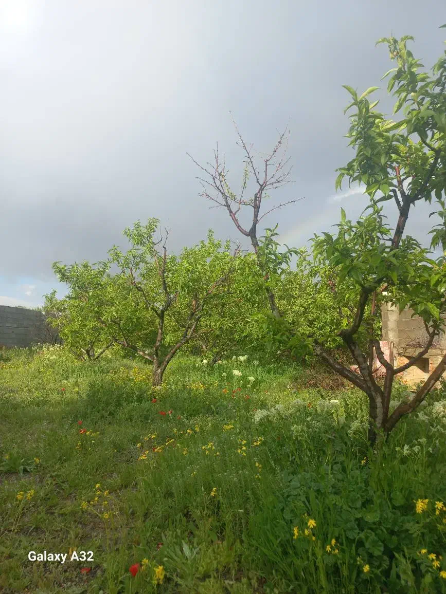 خانه باغی یه متراز ۱۰۰۰متر مربع