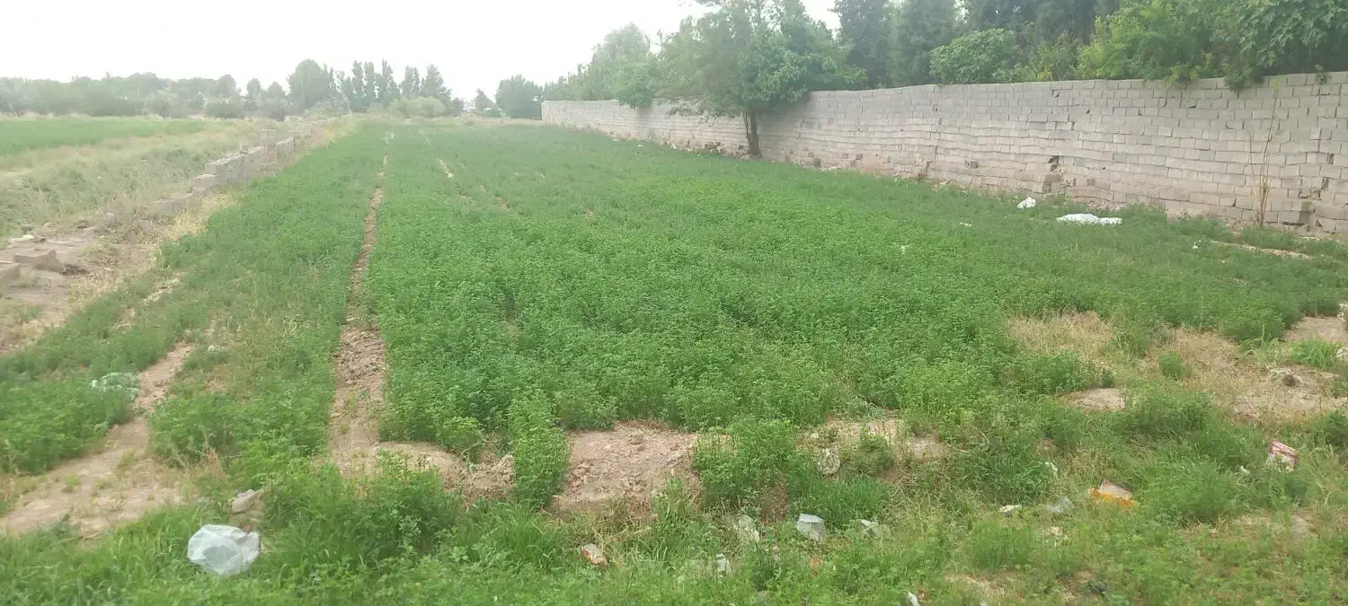 فروش زمین