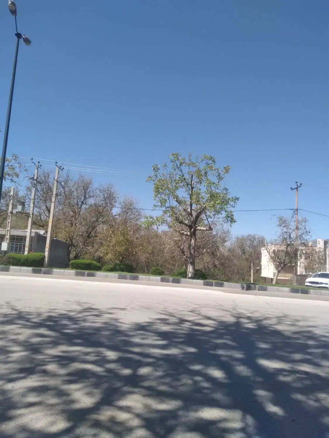 واحد اپارتمان