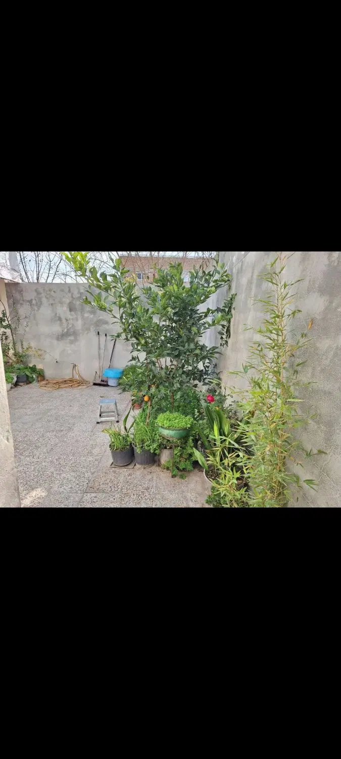 خانه باغ روستایی