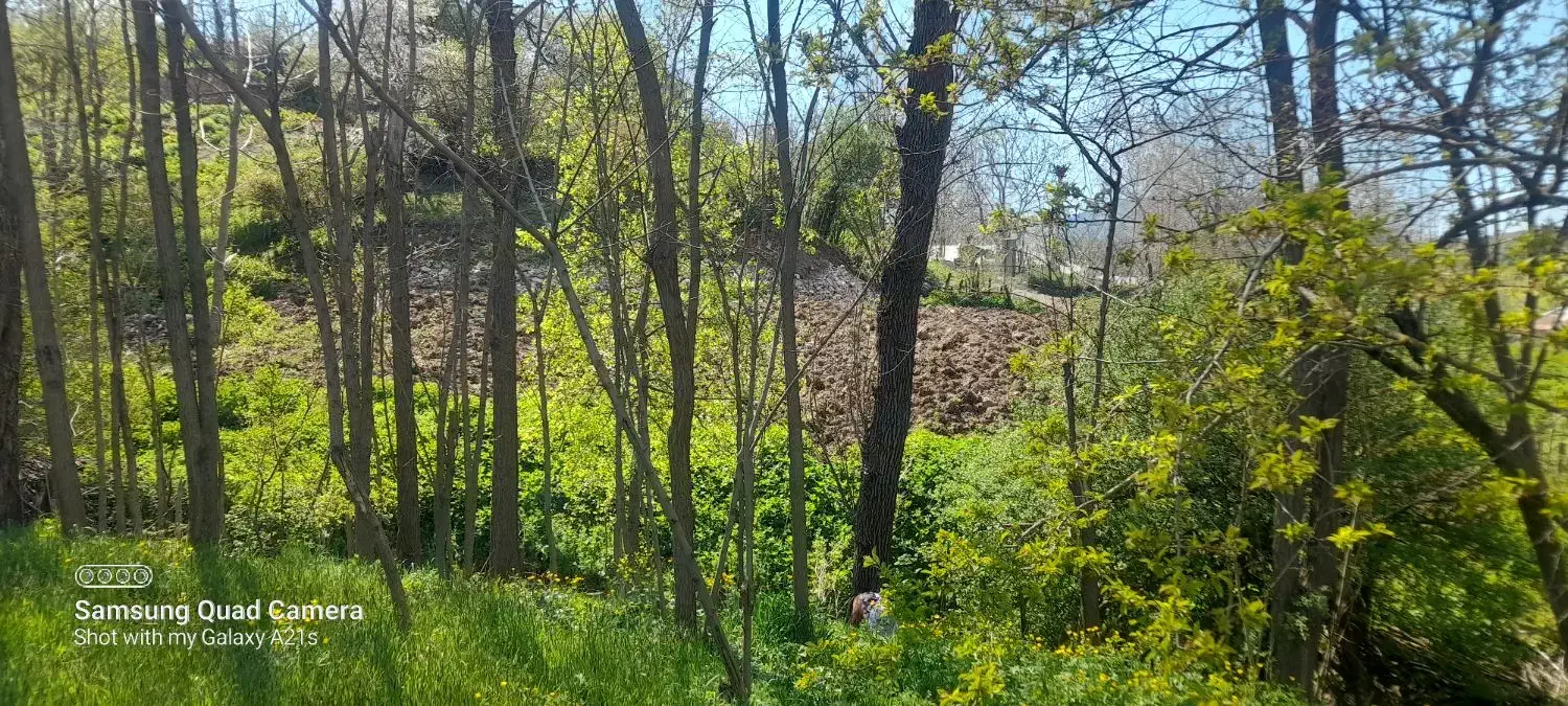 فروش زمین باغی