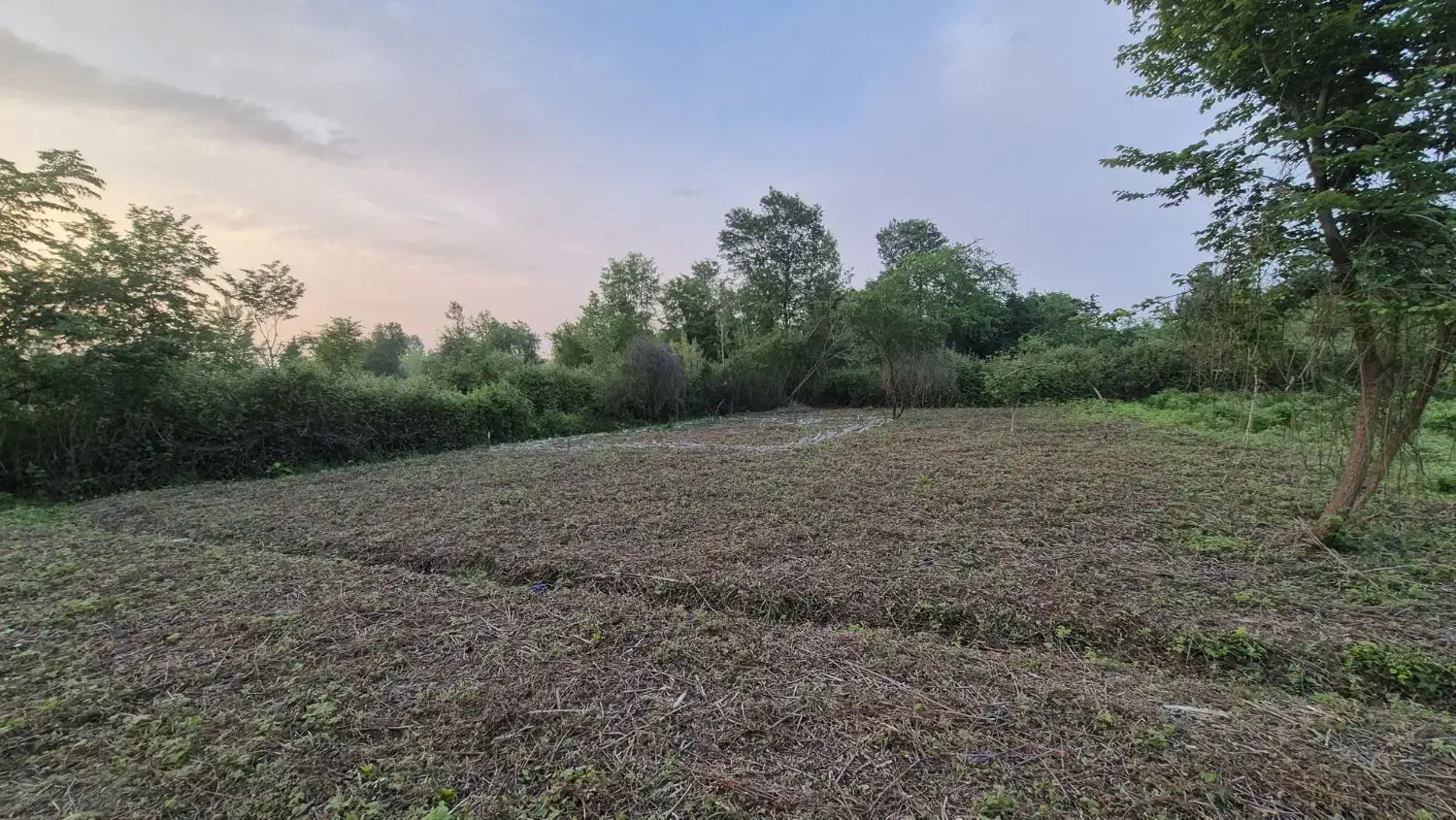 فروش زمین در کارکوه
