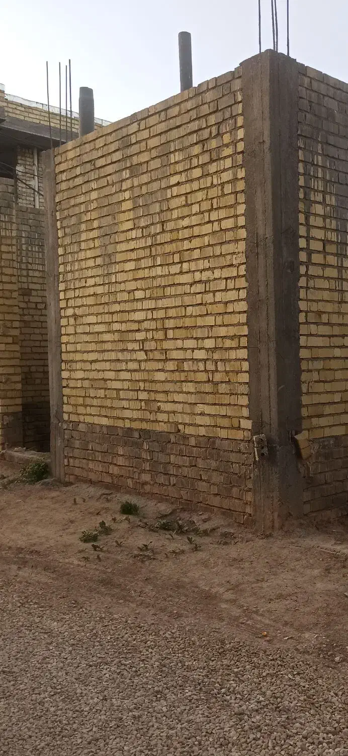 اسکلت شاپورجان