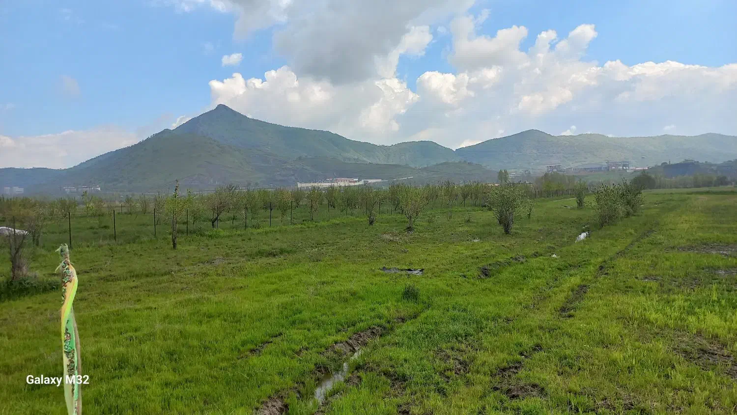 زمین کشاورزی