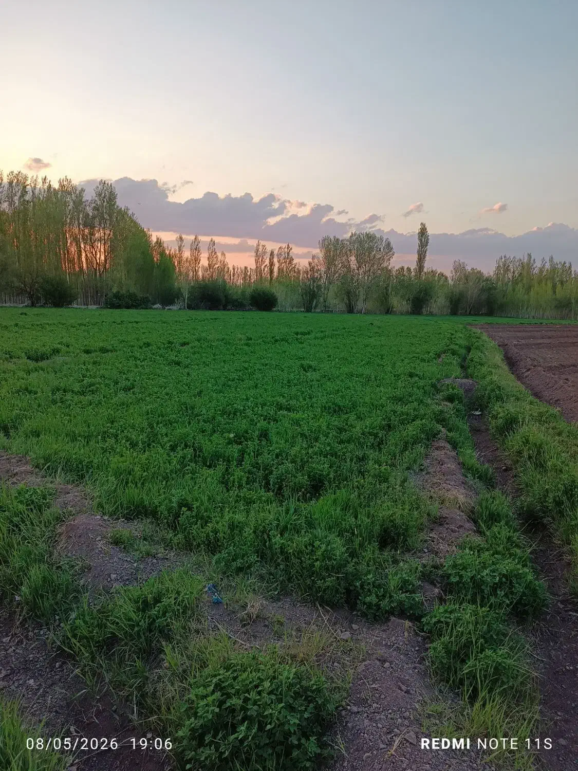 زمین زراعی مناسب برای ویلا باغ
