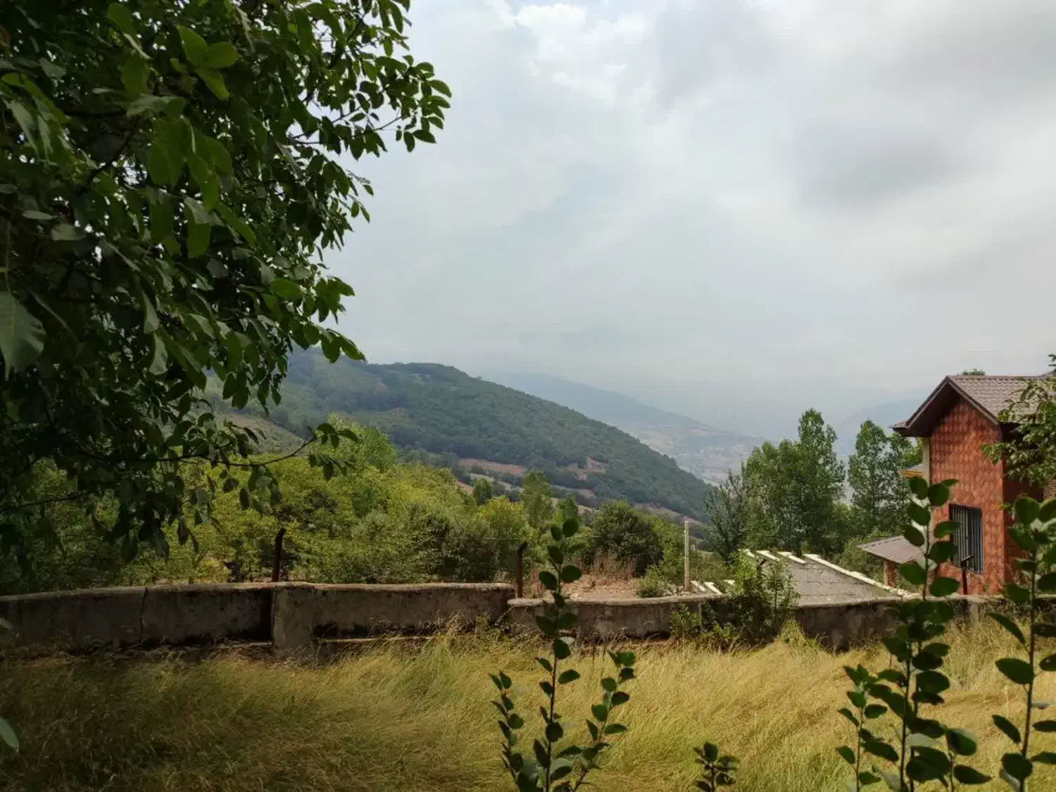 زمین