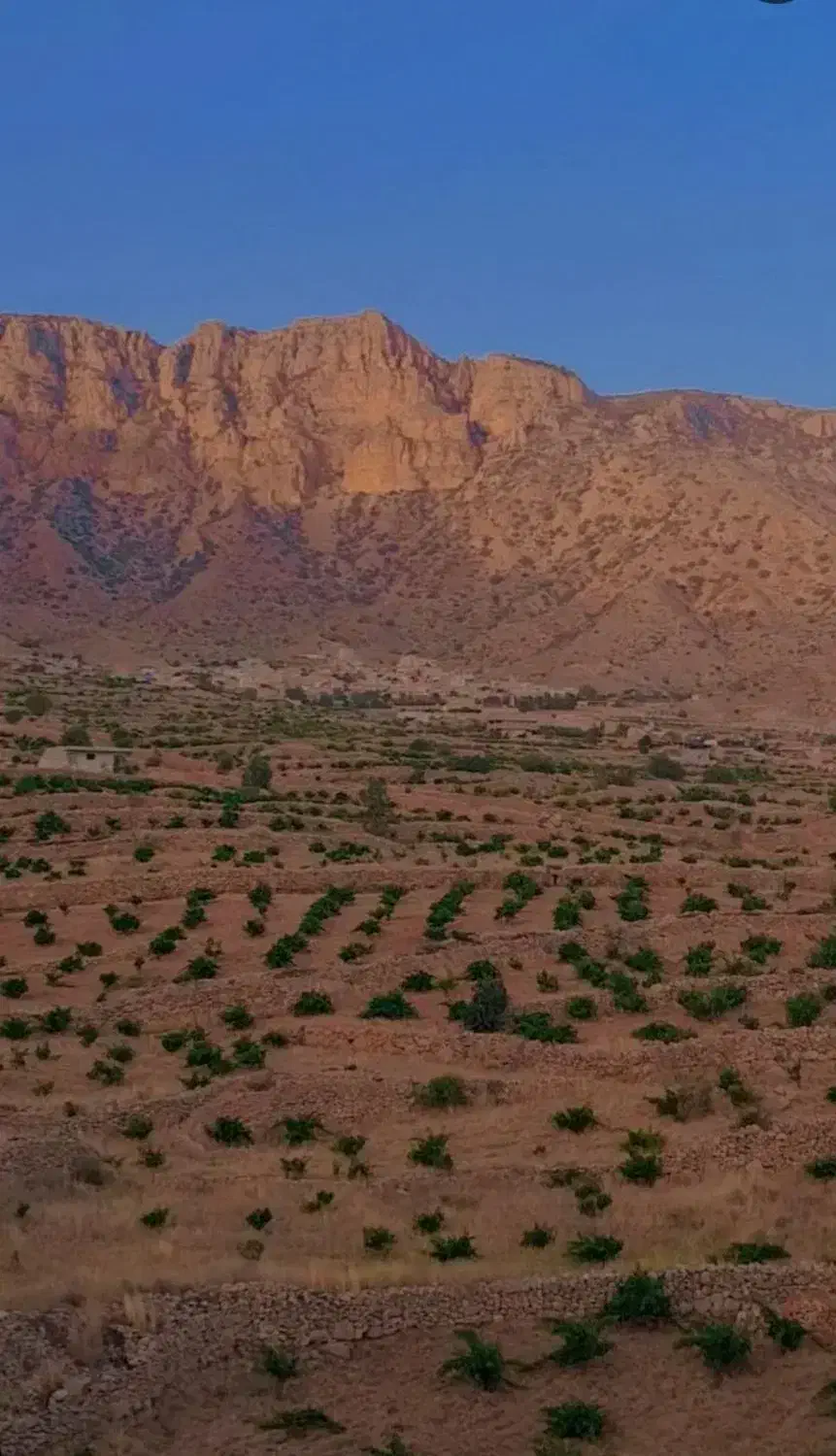 زمین آماده ساخت دوراهی
