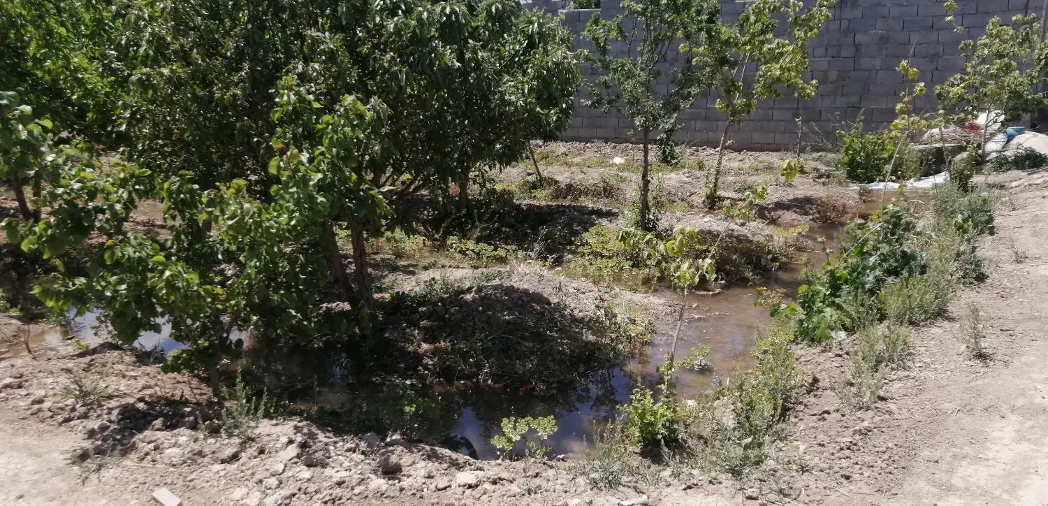 باغ در محمودآباد