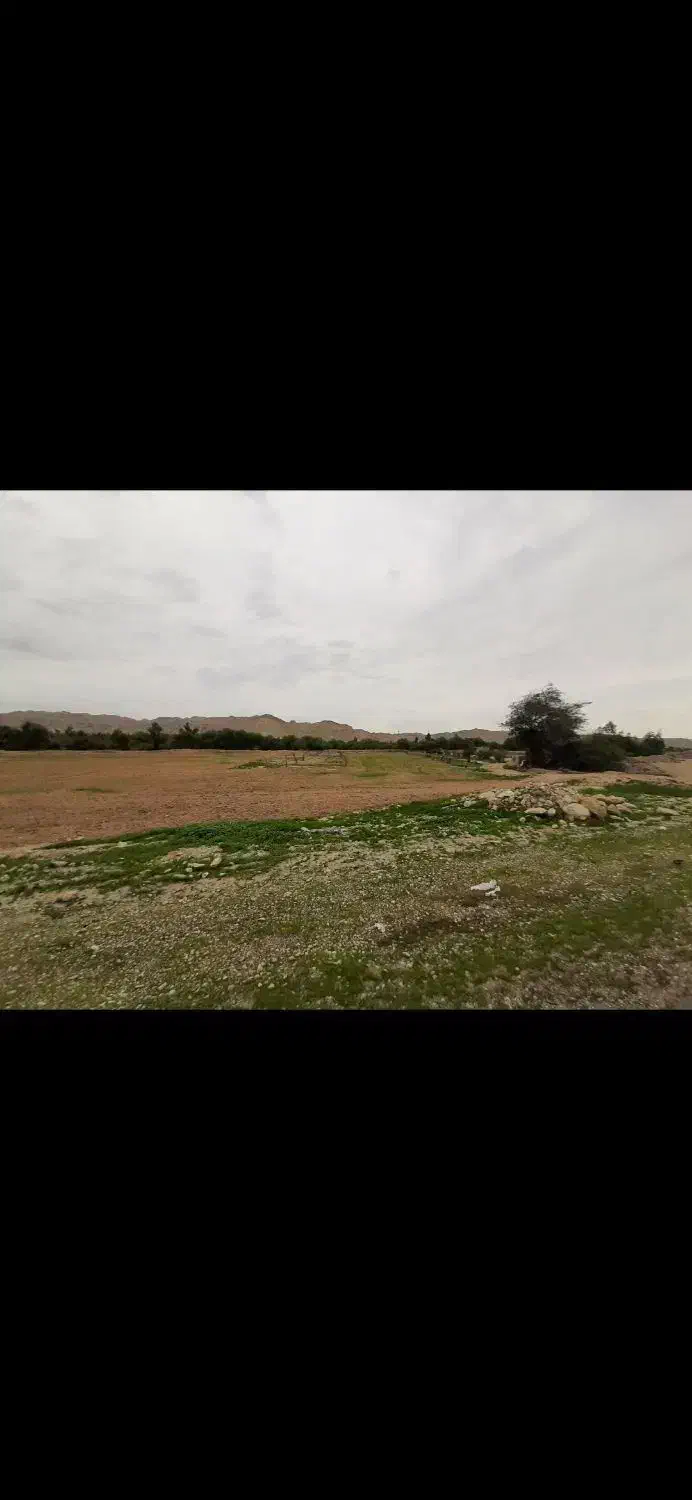 امیدیه  زمین معاوضه