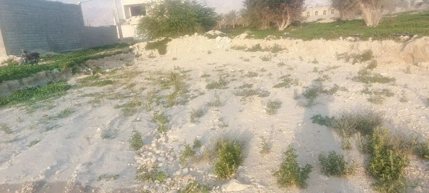 زمین مسکونی