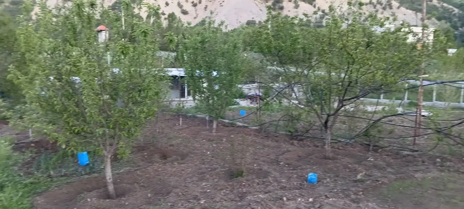 فروش باغ