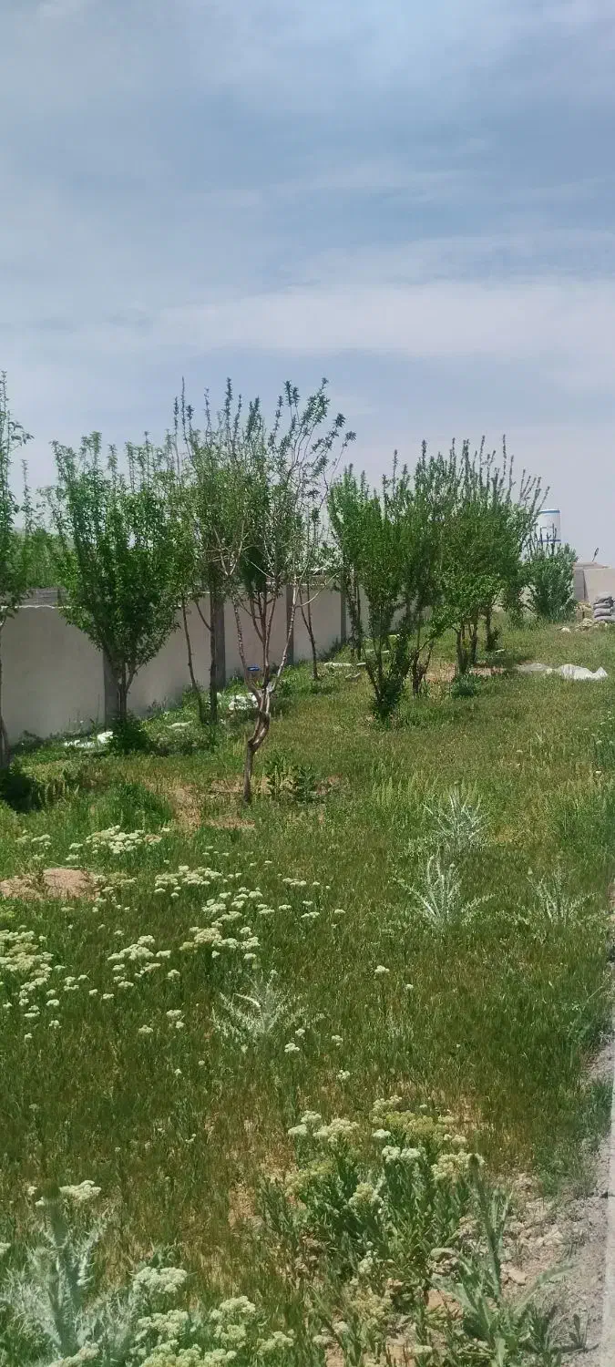 فروش باغ