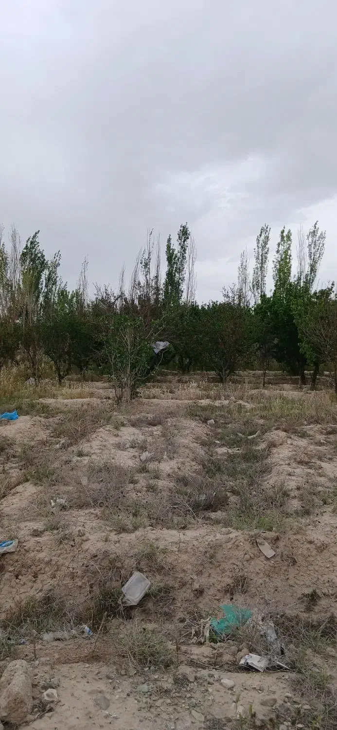 باغ ۱۰۰۰متری در رباطکریم