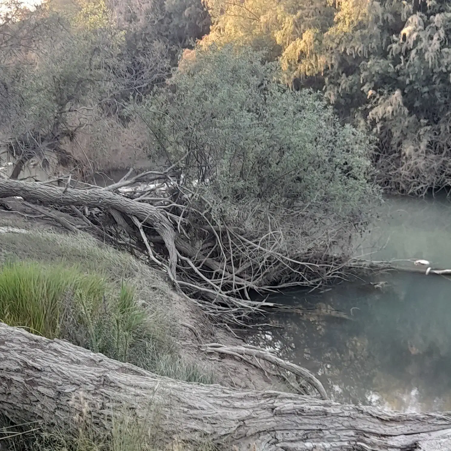 زمین ۱۶۰متری درب حیاط
