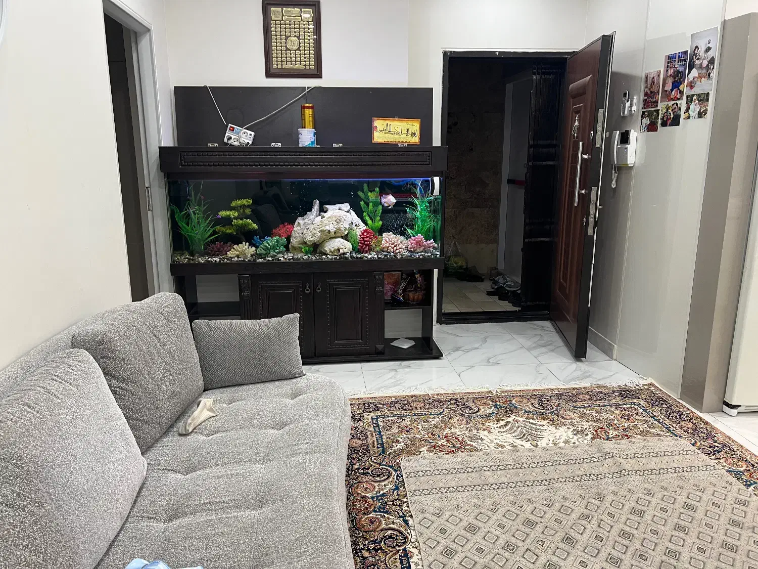 تک واحدی ۱۲۰ متری،جنوبی،غرق افتاب و نور