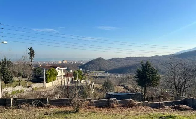 سینوا چالوس