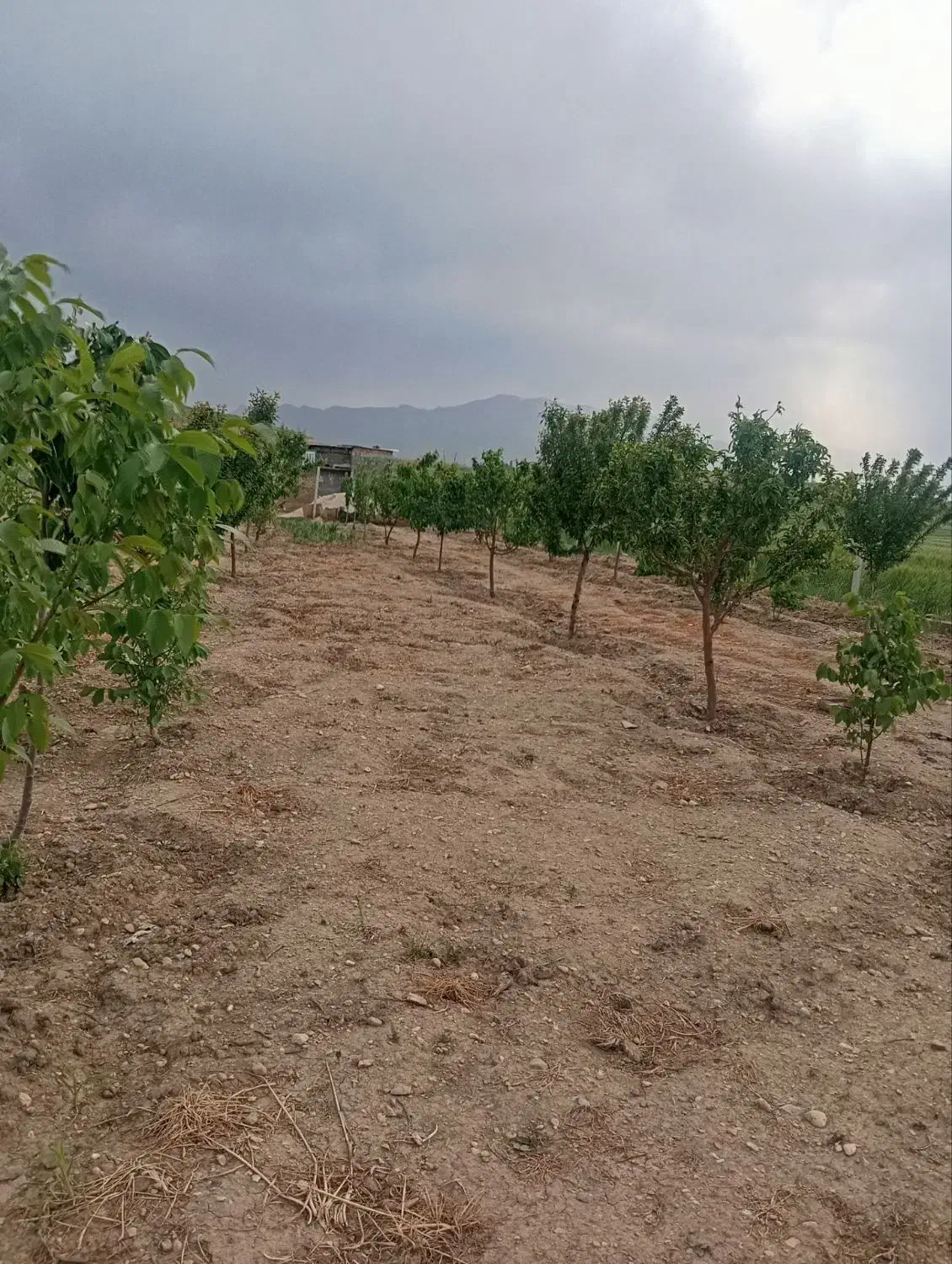 باغ روستا چغادون
