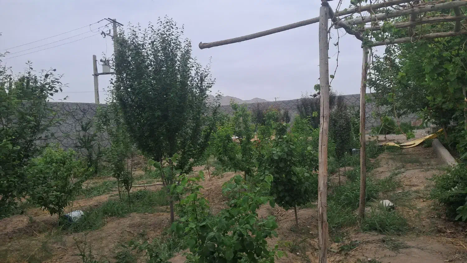 باغ ویلا فلاورجان