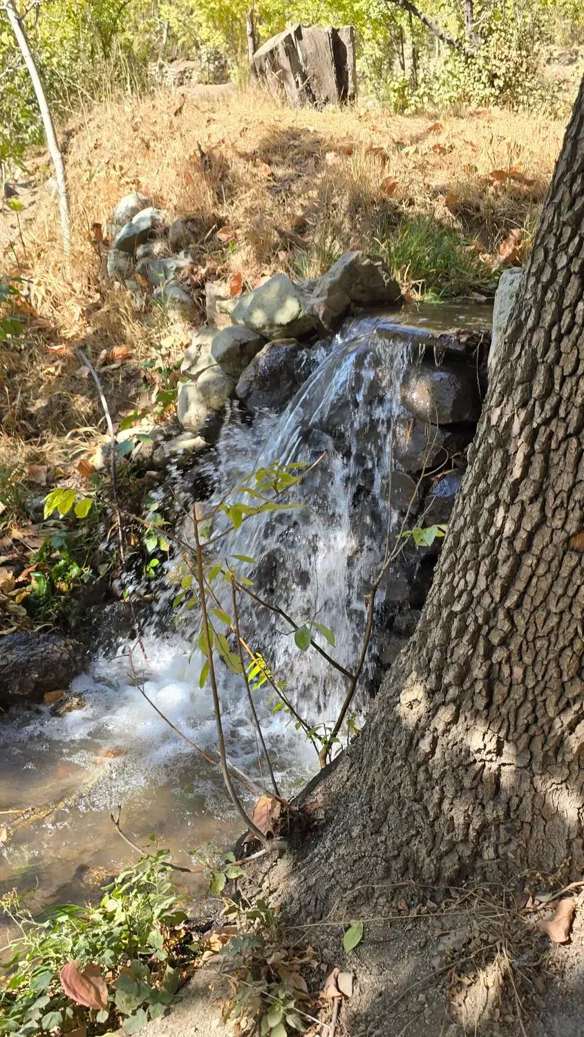 زمین باغ واقع در بهترین جای شهران