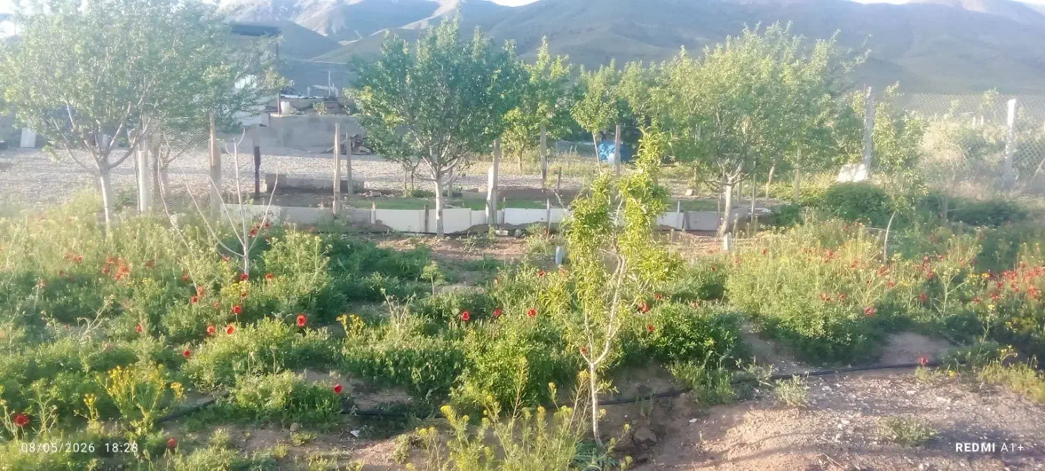 باغ یا خانه باغ بسیار عالی ودنج