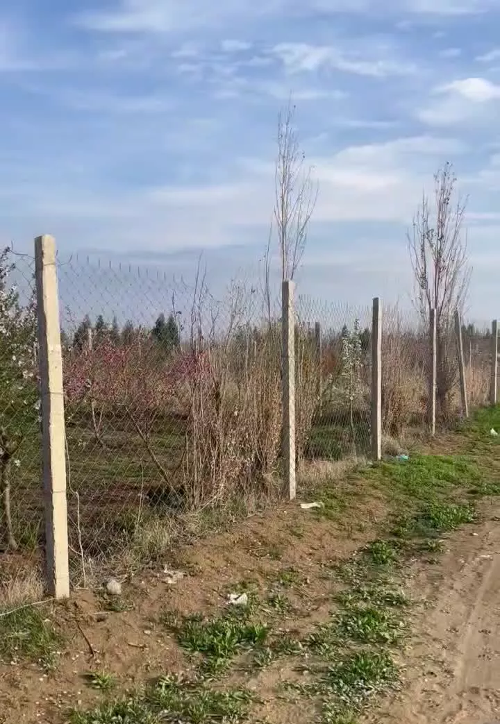 باغچه