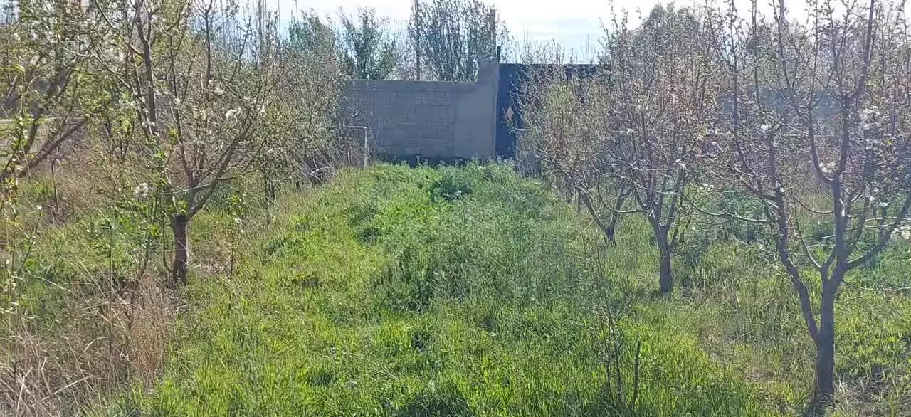 باغچه ۴۰۰ متری