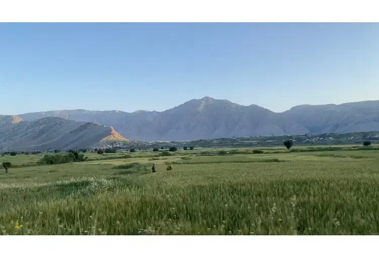 زمین مسکونی لوکیشن عالی