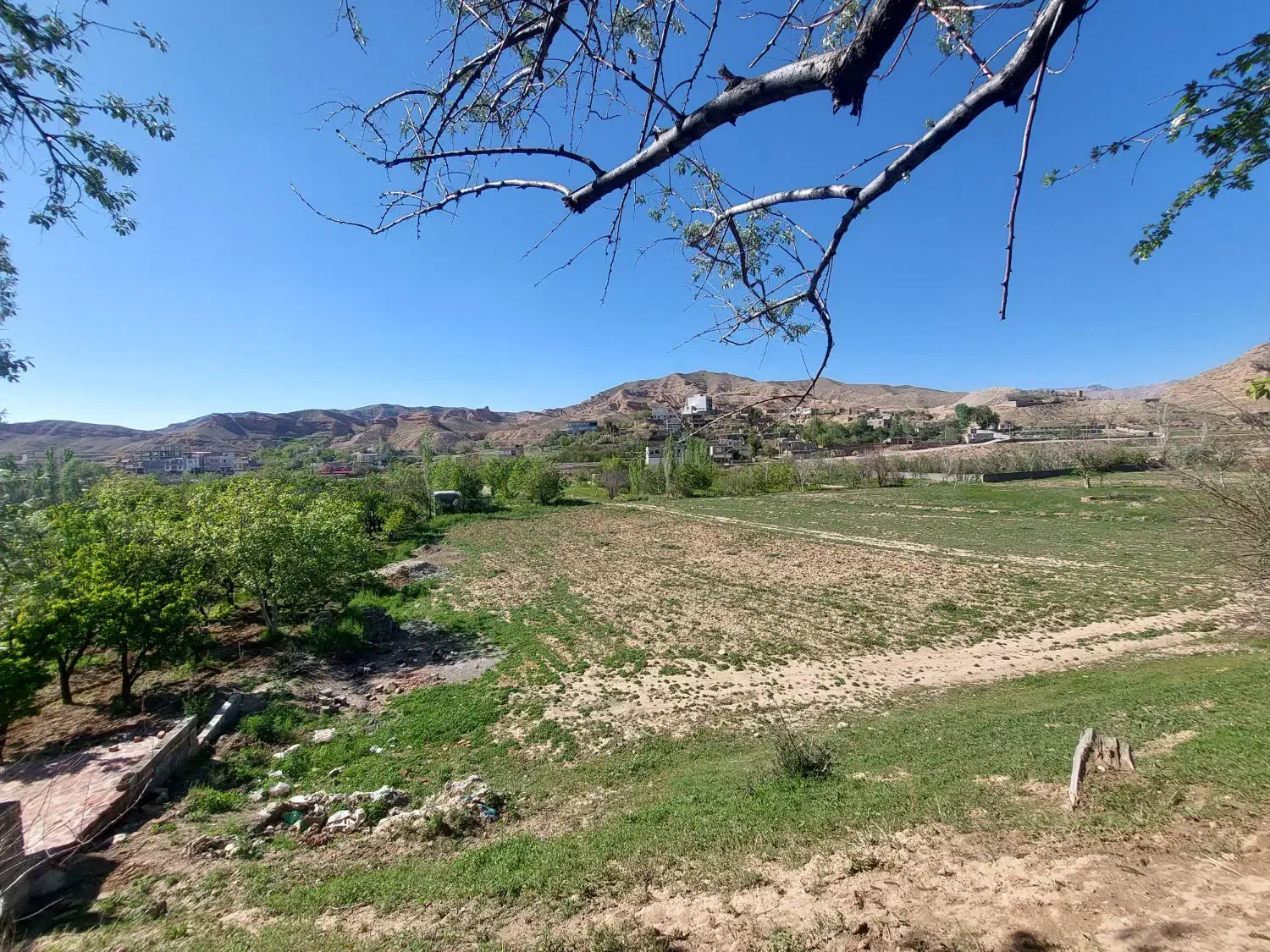 زمین کشاورزی حسن آباد چنارسوخته