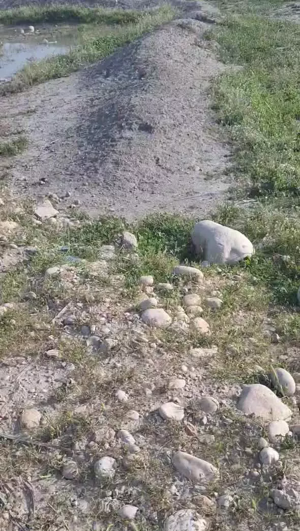 زمین شهری پلاک بندی شده عرصه و اعیان