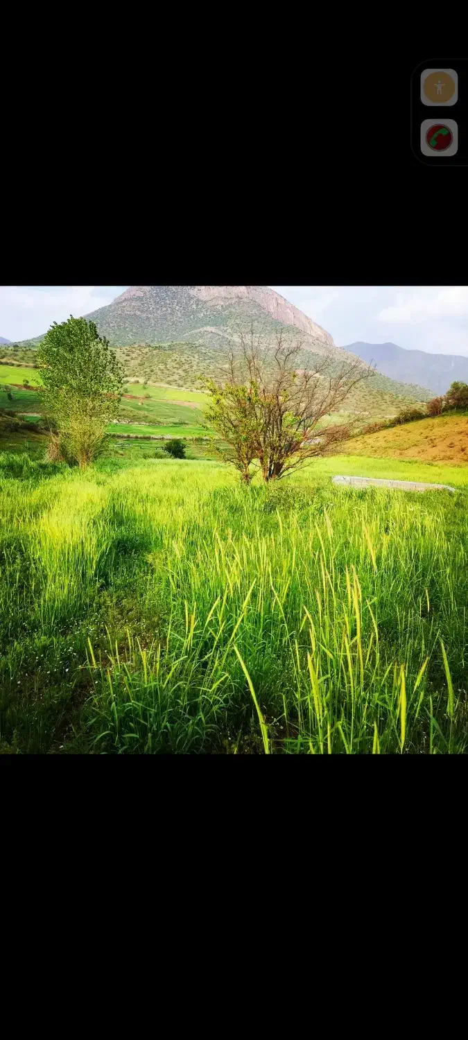 فروش زمین کشاورزی