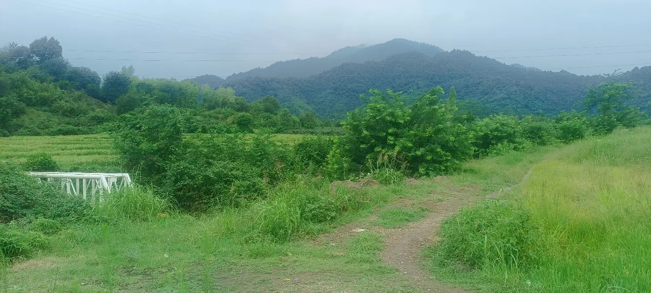 زمین