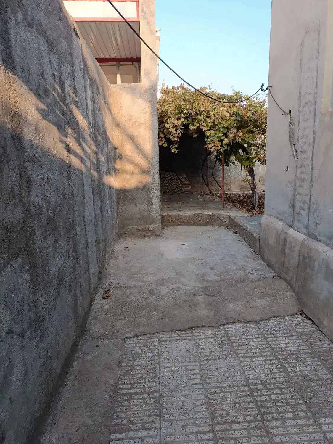 اجاره حیاط
