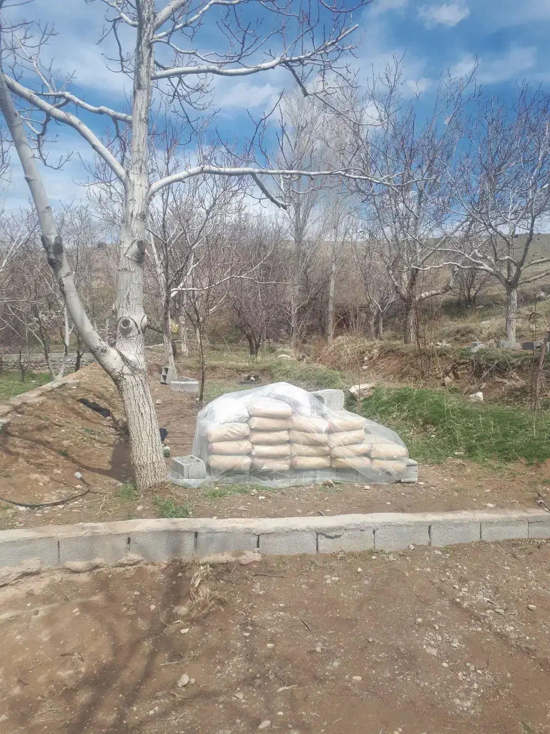 باغ نقلی