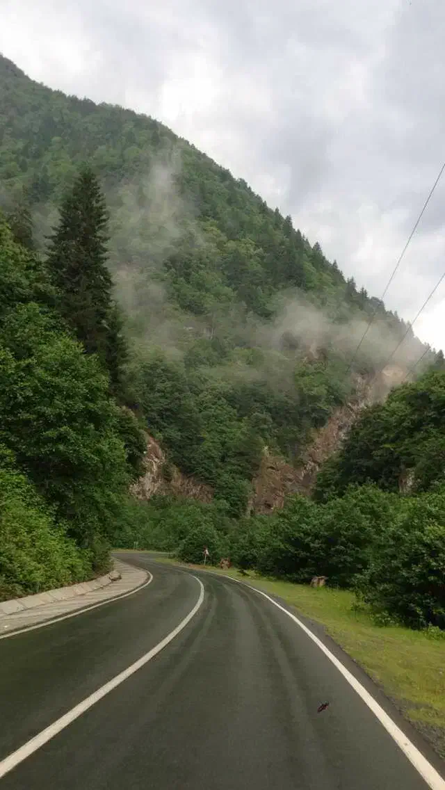 راهنمایی در مورد خرید ملک در گیلان