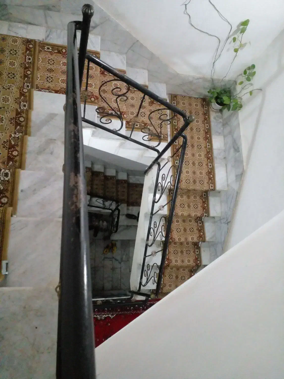 واحد در جاده شاندیز