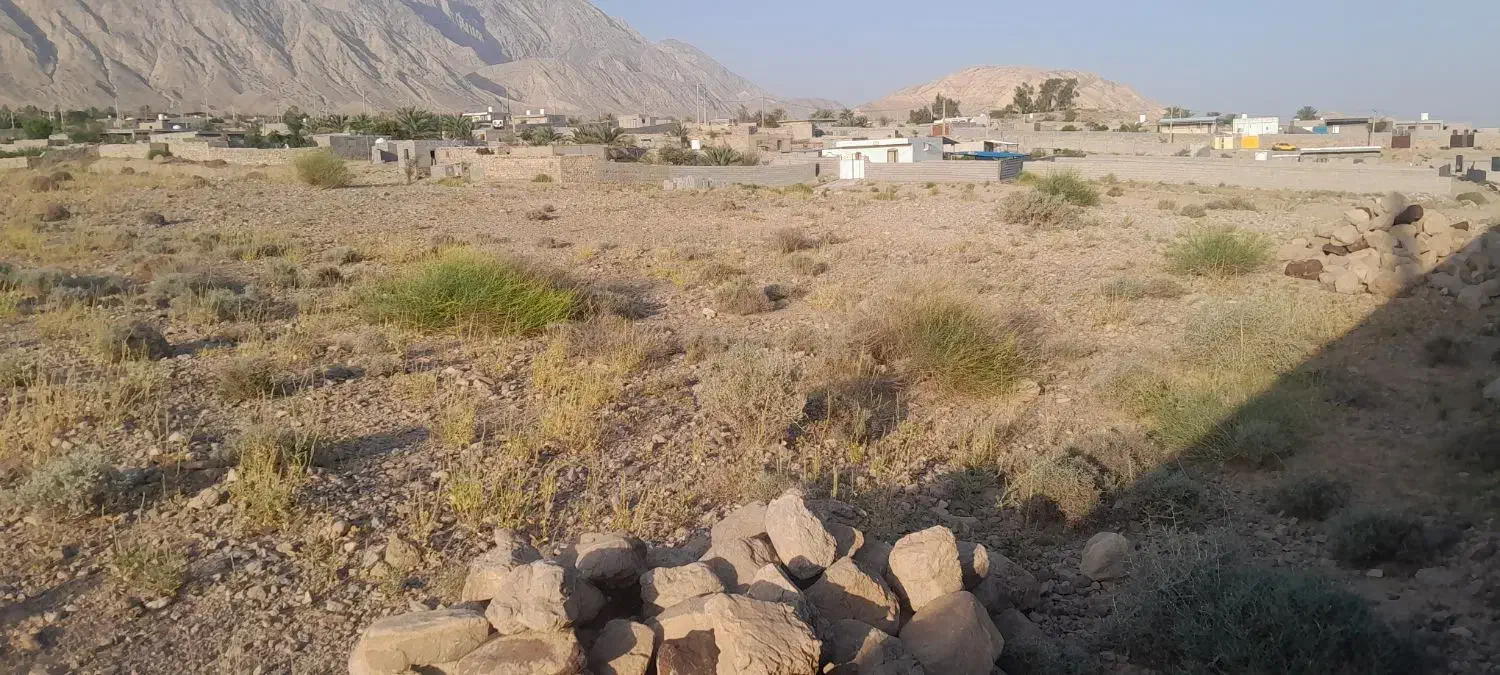 زمین  تلسورو  سیاهو