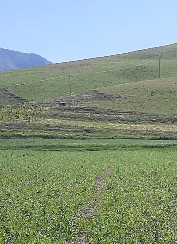 زمین کشاورزی در روستای فارسبان جهت فروش