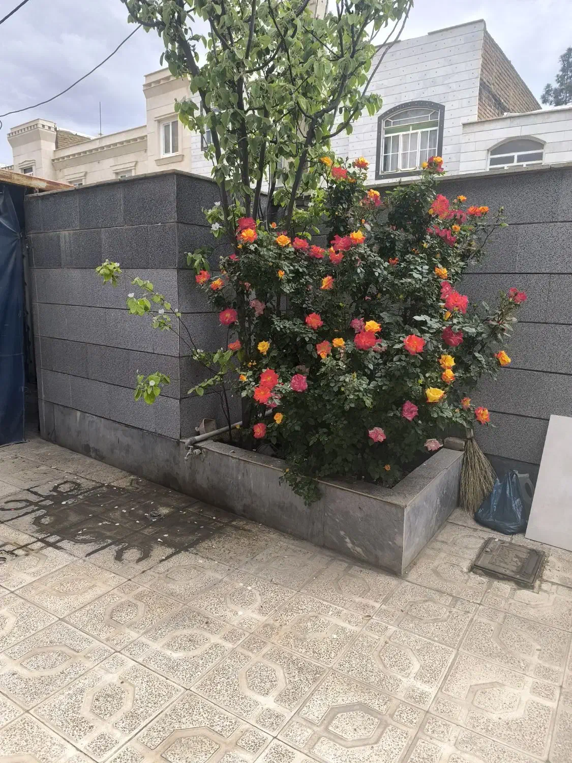 اجاره سالیانه منزل مسکونی ویلایی همکف
