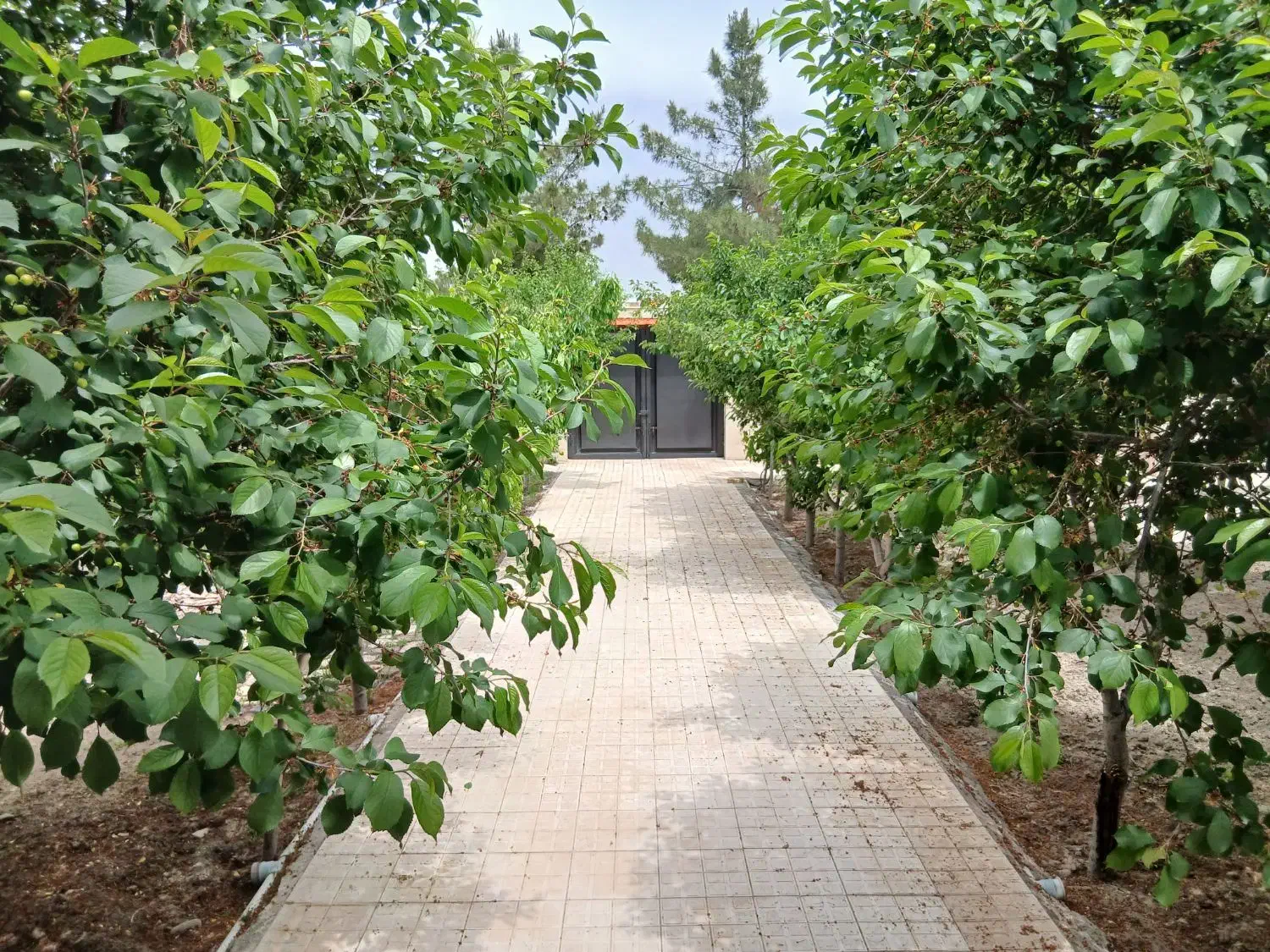 ویلا استخر داخل _شرکت برق _کاهو