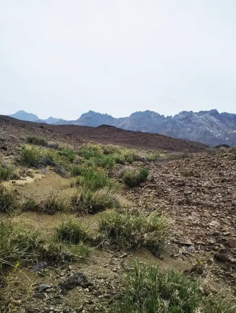 املاک