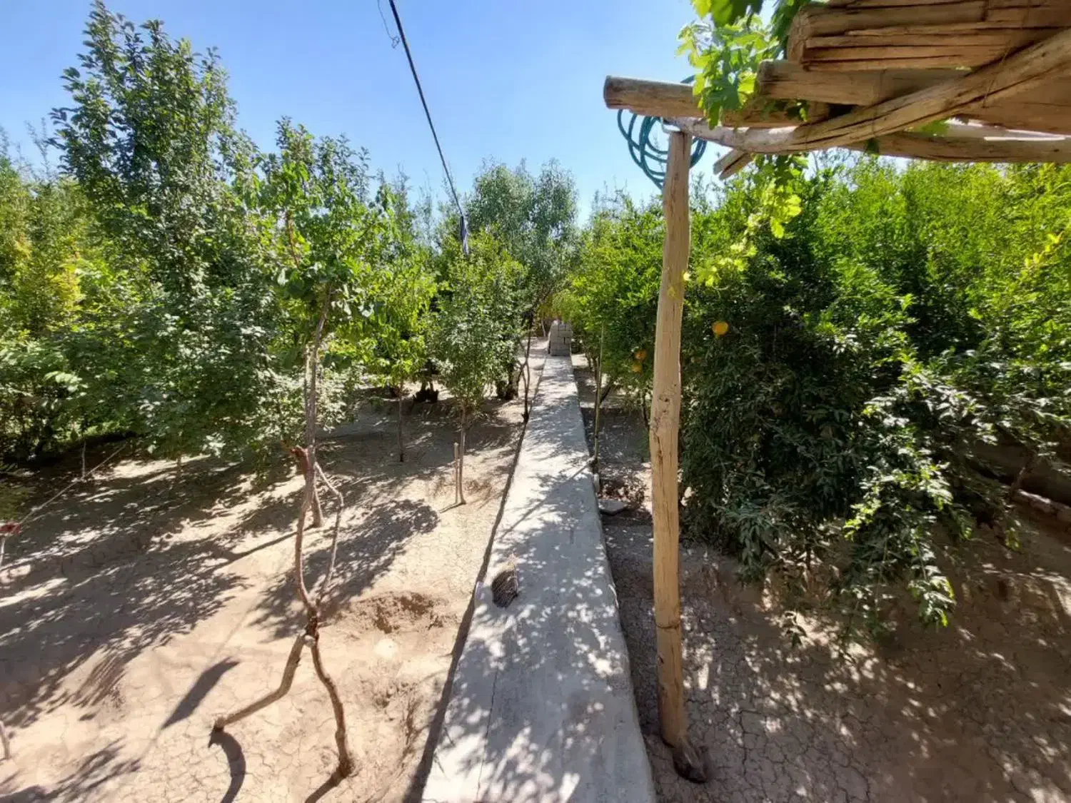 خونه باغ مهریز
