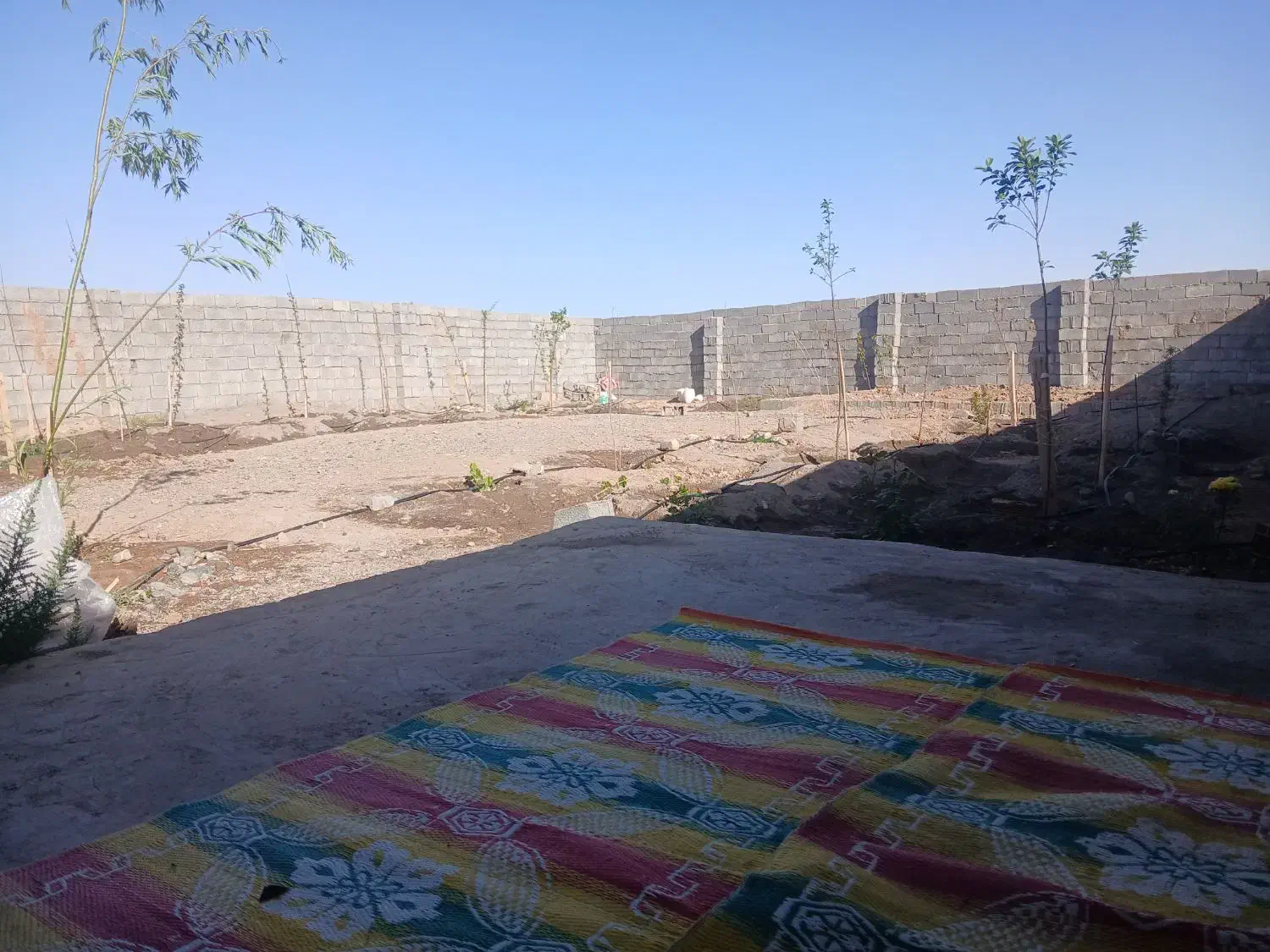 ۱۱قصب زمین کشاورزی