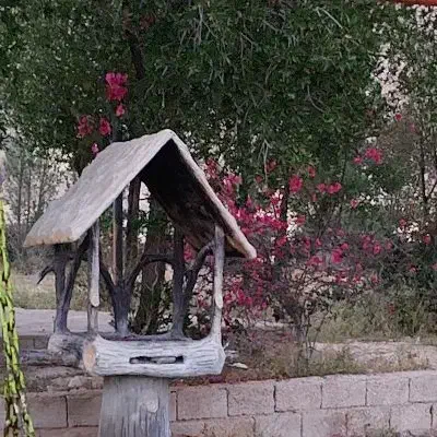 فروش باغ پسته