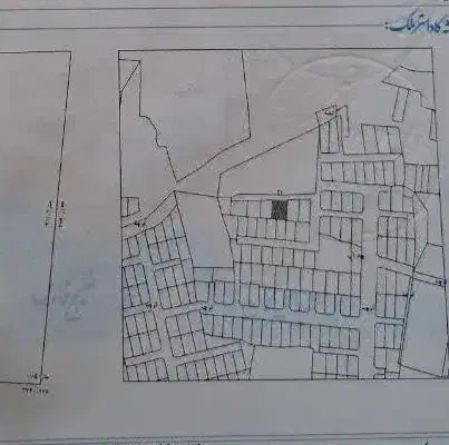 فروش زمین نخلستان