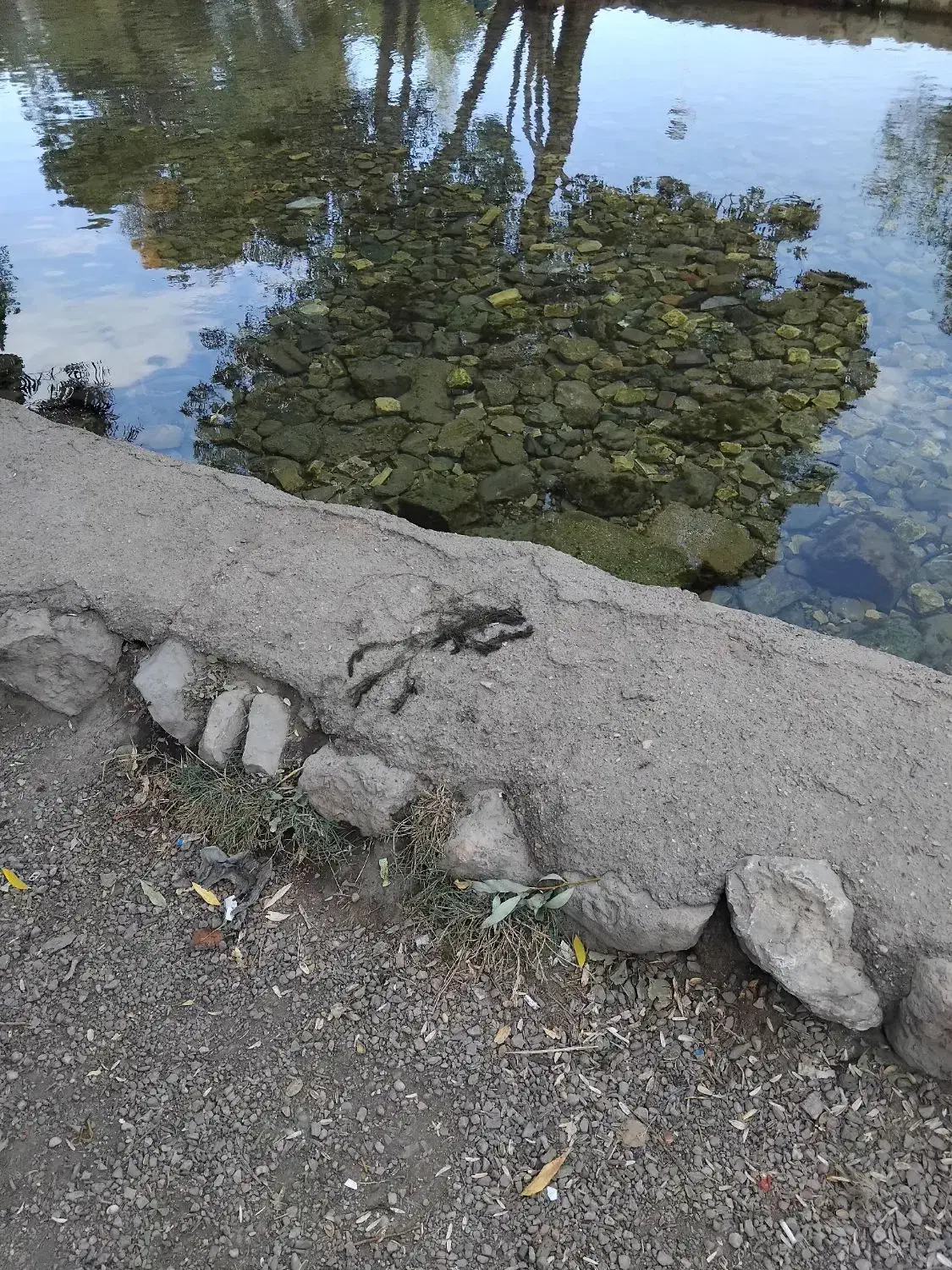 خونه برا اجاره‌ میزارم