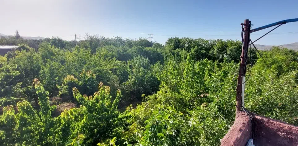 فروش باغ میوه