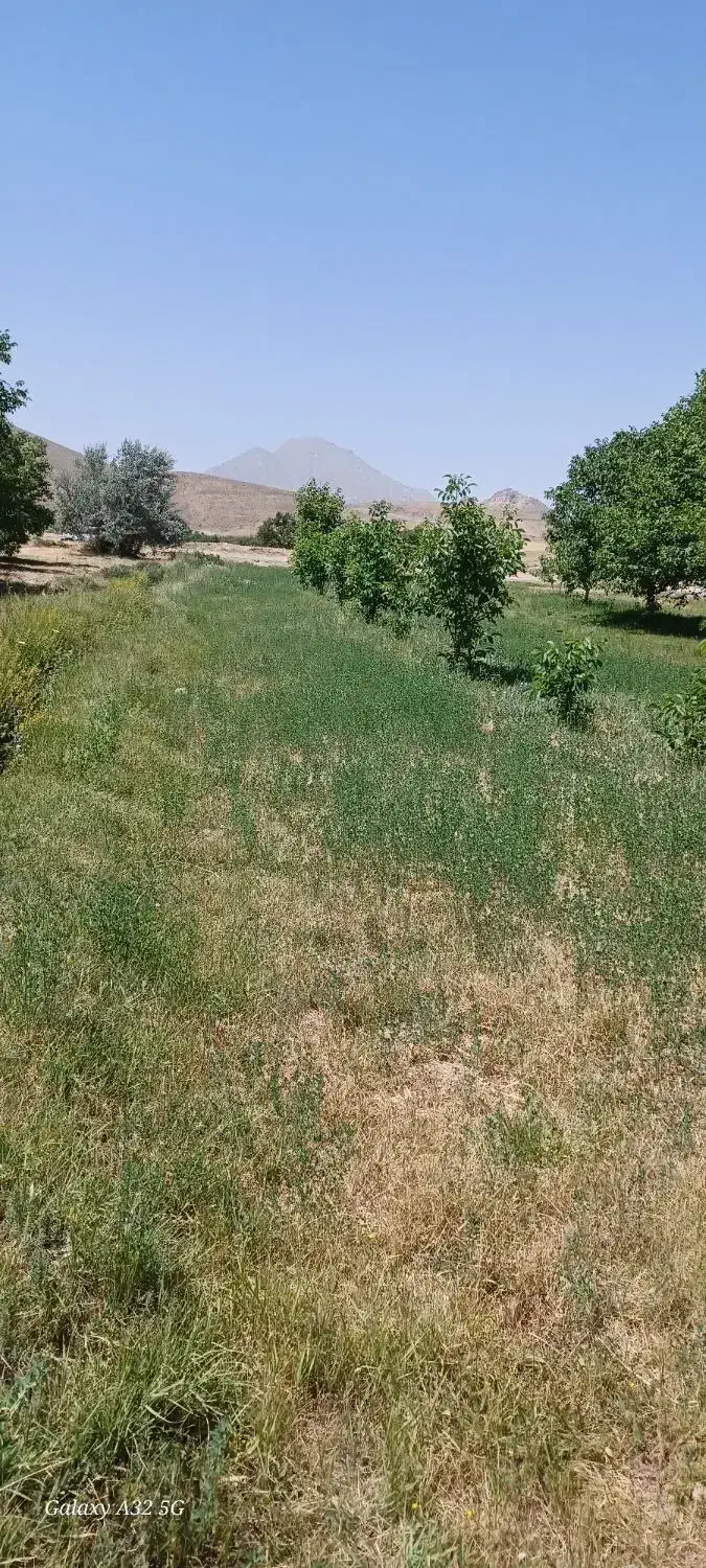 زمین به متراژ 1000 متر درروستای فسیجان