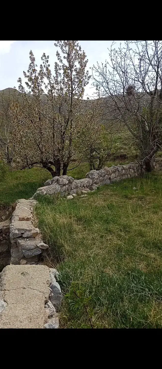 باغ ۱۰۰۰ متر ابراهیم آباد