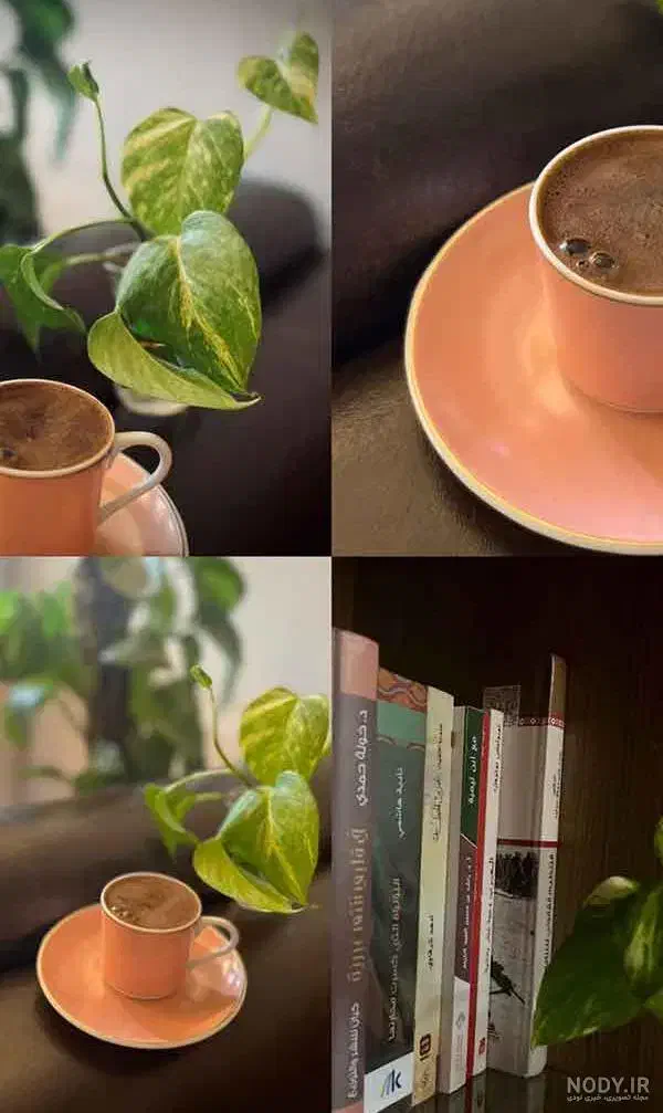 همخونه همخانه میخوام