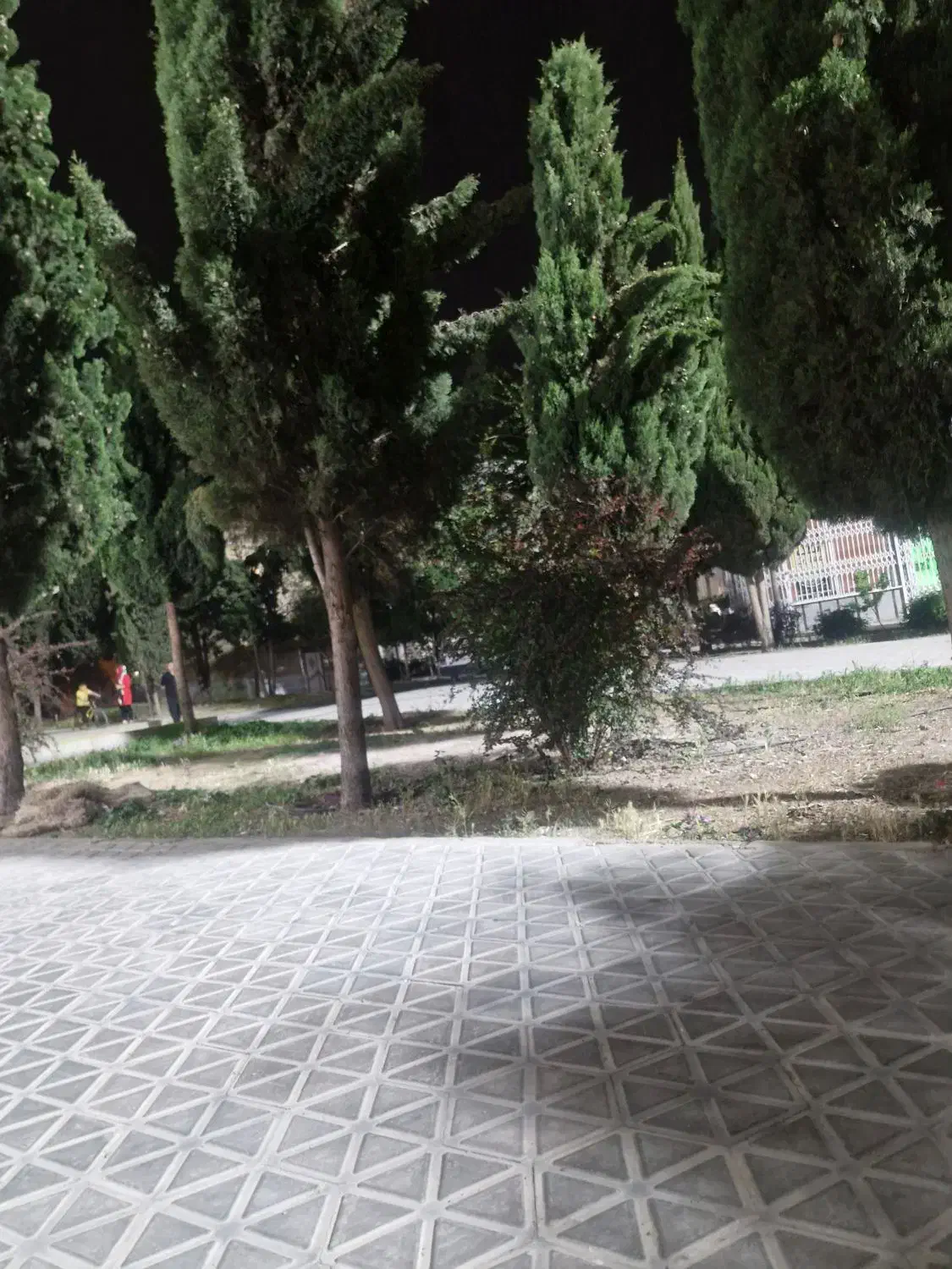 زمین تجاری